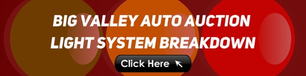 Big Valley Auto Auction Light System Breakdown